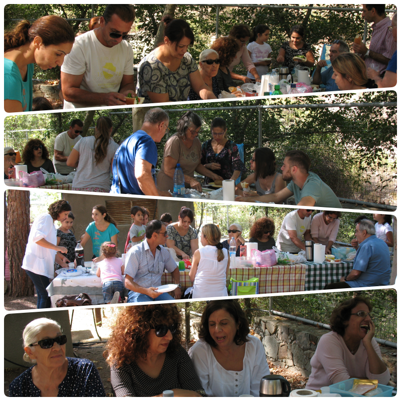 pic-nic_1