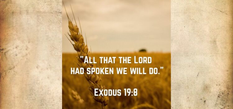 “I will… I will… I will”